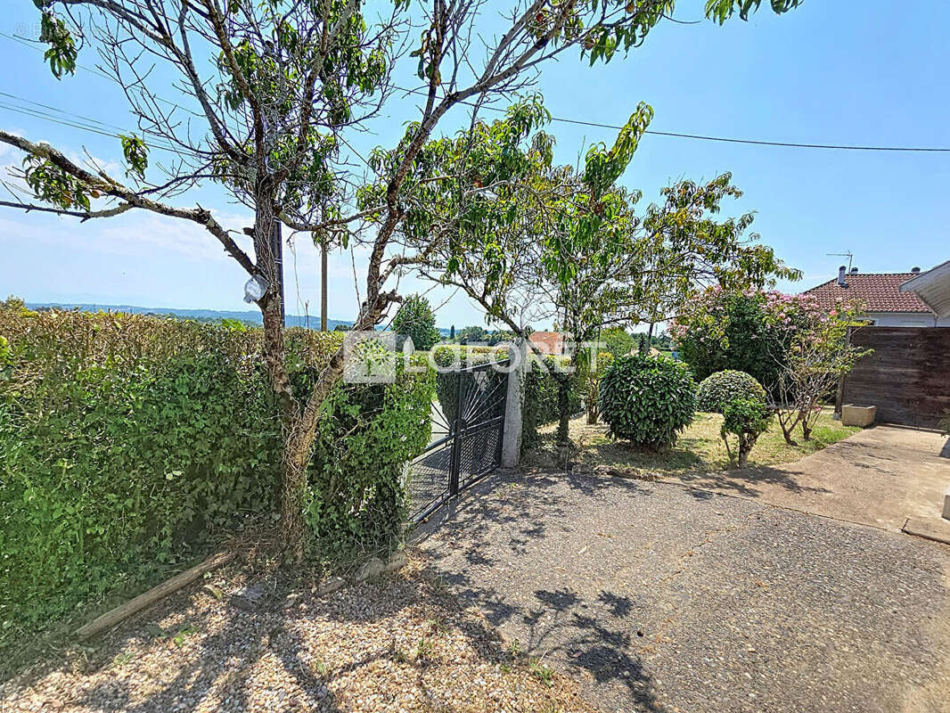 Maison Orthez 6 pièce(s) - photo 3