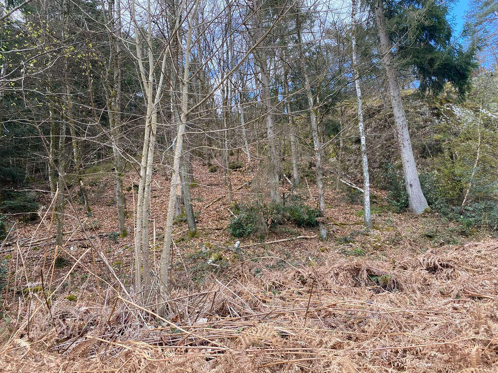 Terrain à SAINT-NABORD