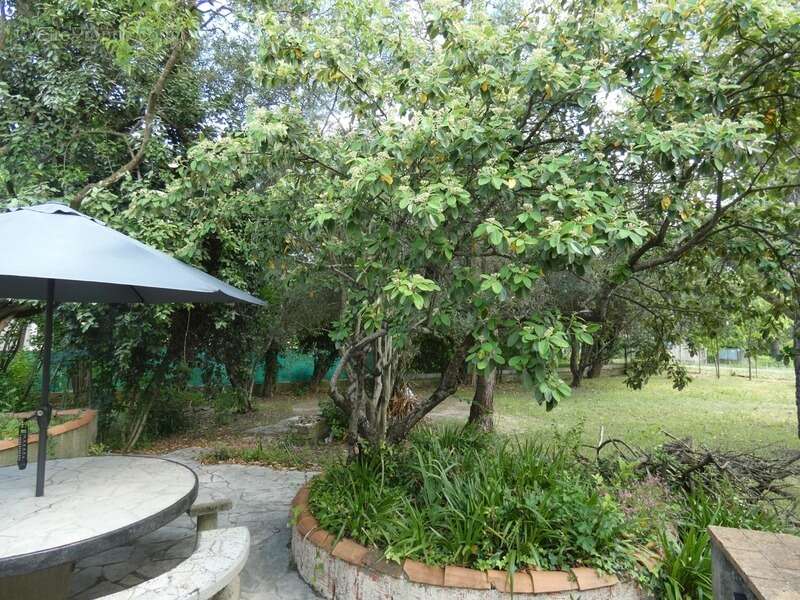 Villa moules et baucels (34) - photo 29