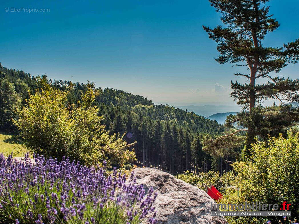 Appartement à AUBURE