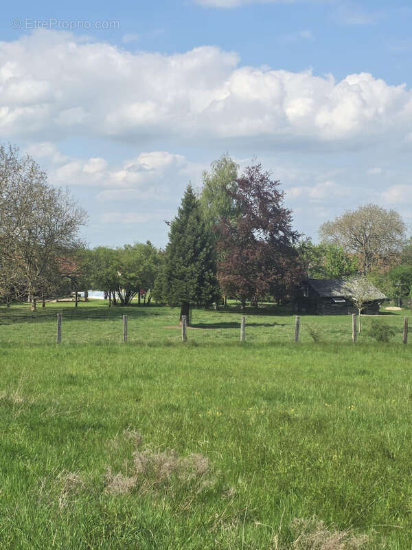 Terrain à VIGNEULLES-LES-HATTONCHATEL