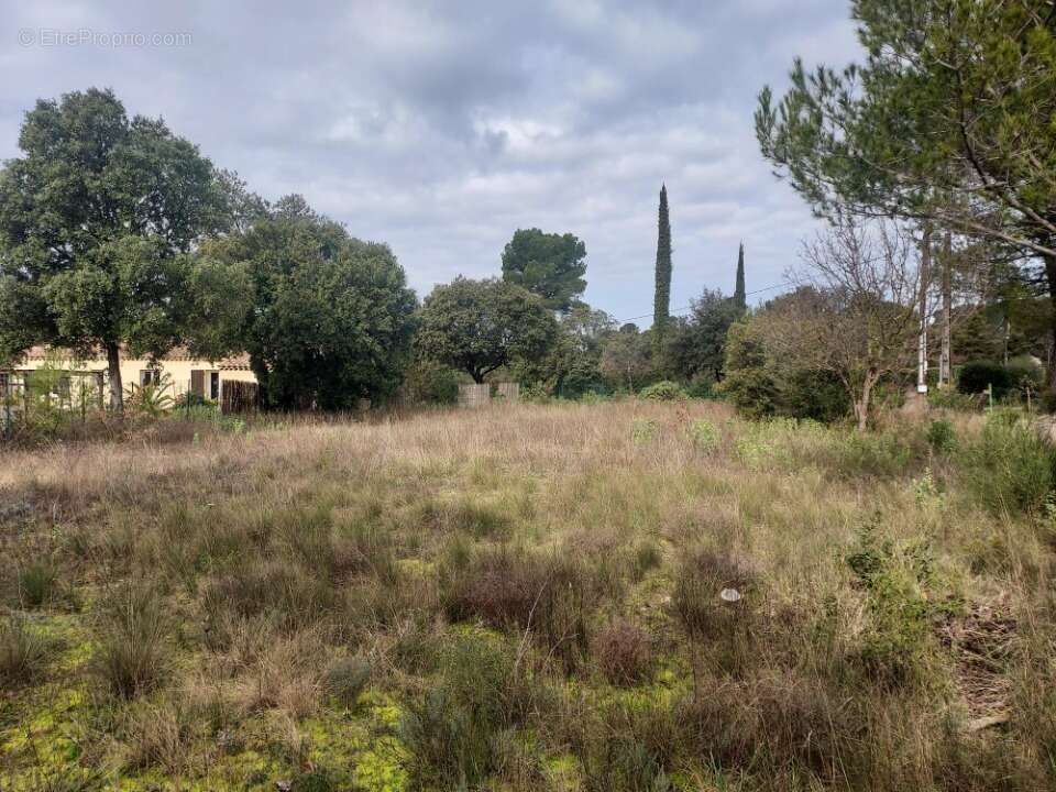 Terrain à SILLANS-LA-CASCADE
