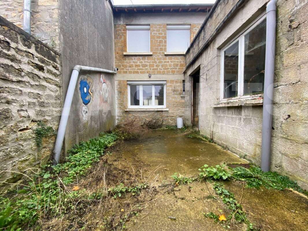 462546575_9018756548175041_2069712661608034309_n - Maison à BEAUMONT-EN-ARGONNE