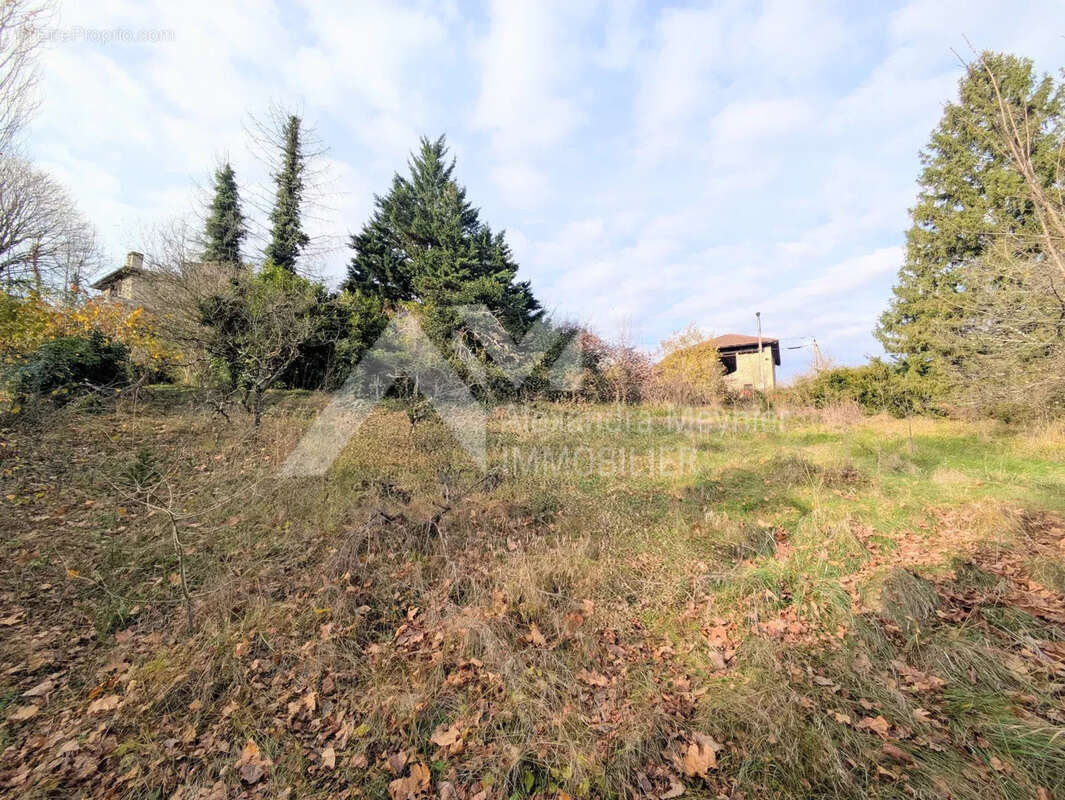Terrain à SAINT-MARCELLIN