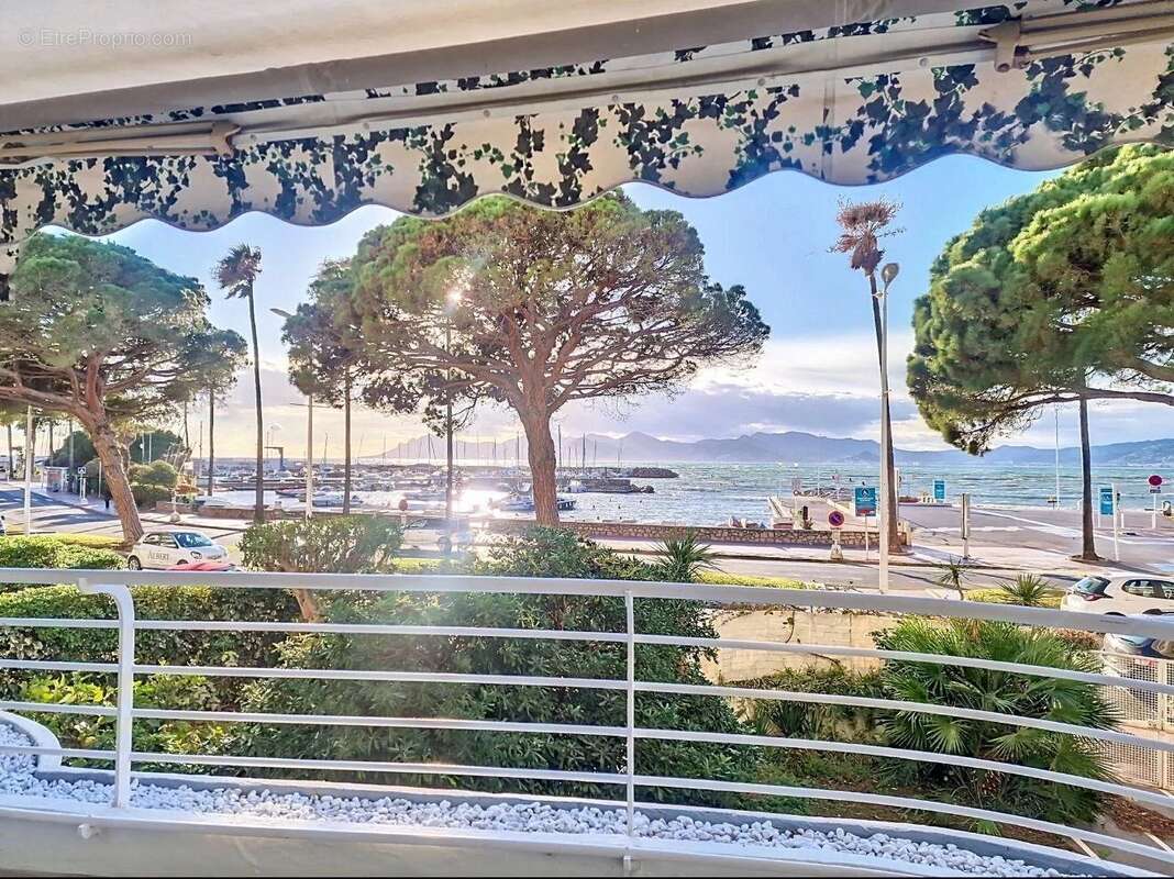 Cannes pointe croisette 2p vue mer panoramique - photo 9