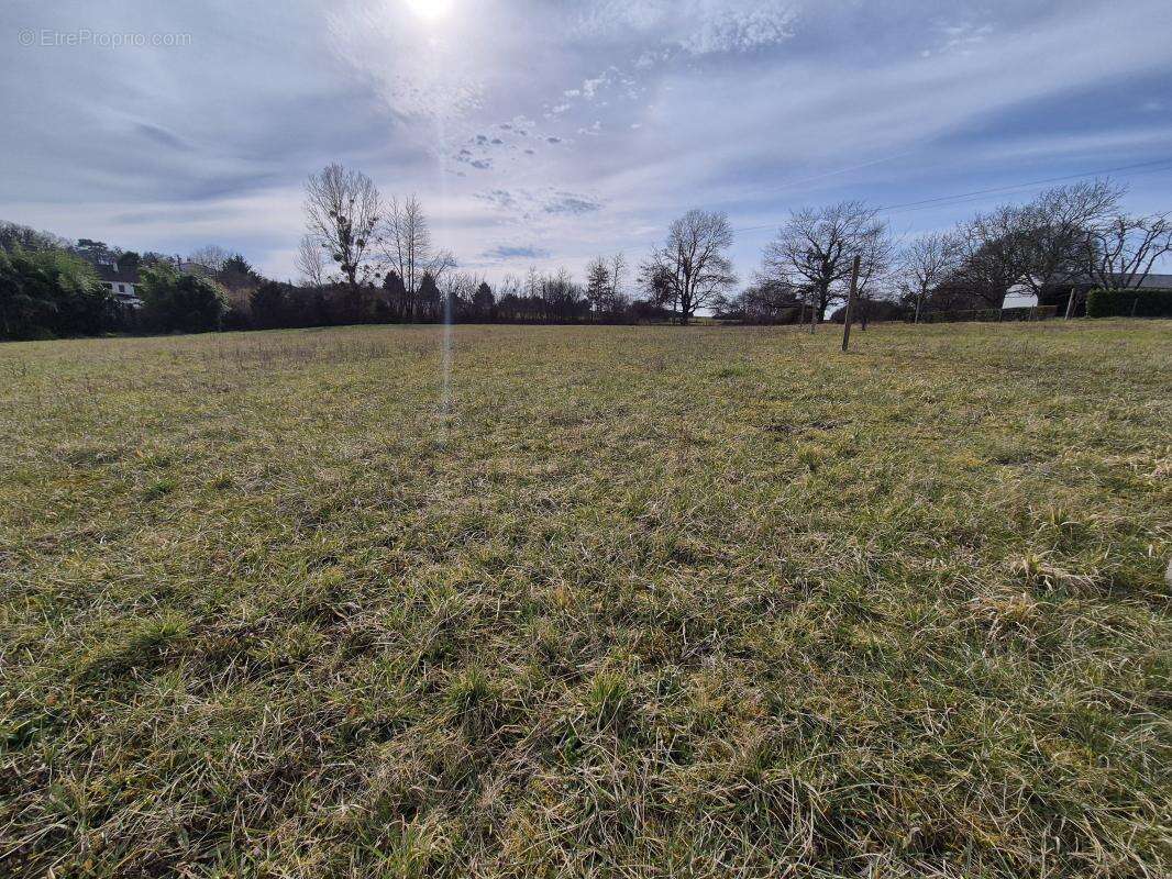 Terrain à CHOUZY-SUR-CISSE