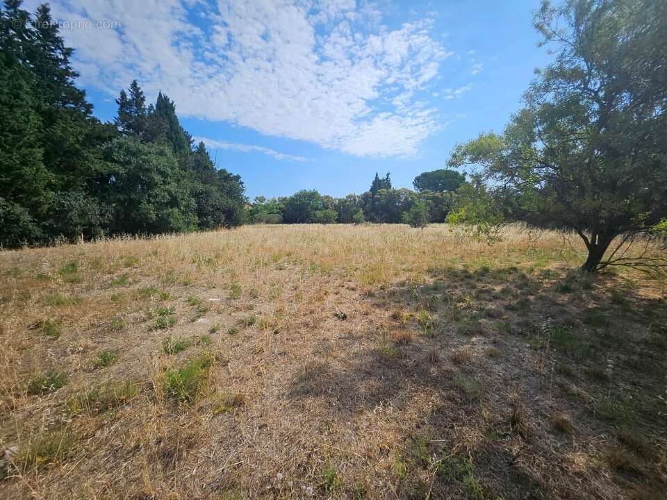 Terrain 780 m² à Fontvieille  - photo 3