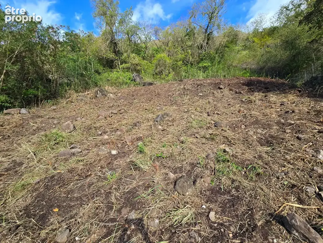 Terrain 1147m² à case-pilote - photo 6