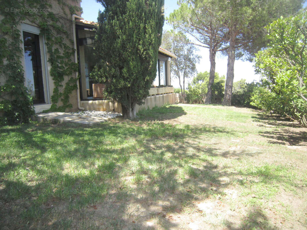 Sur les hauteurs de Narbonne - photo 20