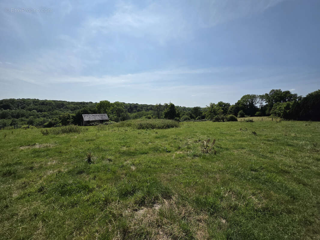 Maison à THIBERVILLE