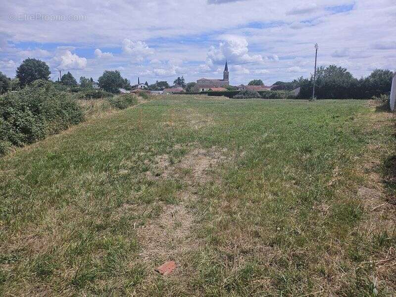 Terrain à CHALAIN-LE-COMTAL