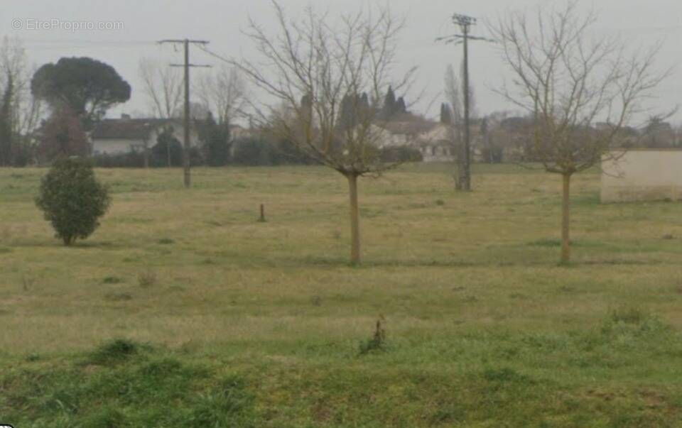 Terrain à PINS-JUSTARET