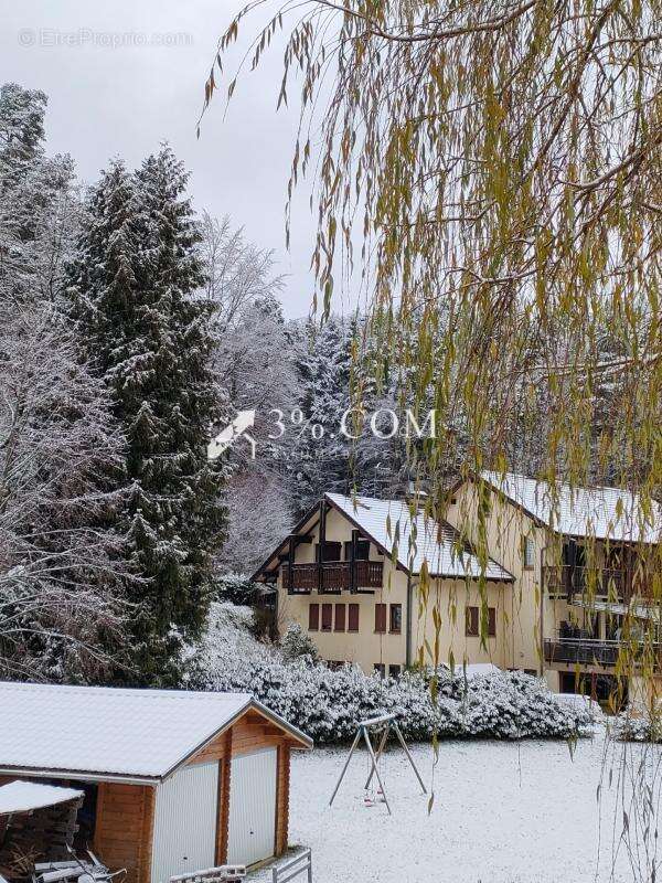 Maison à WANGENBOURG-ENGENTHAL