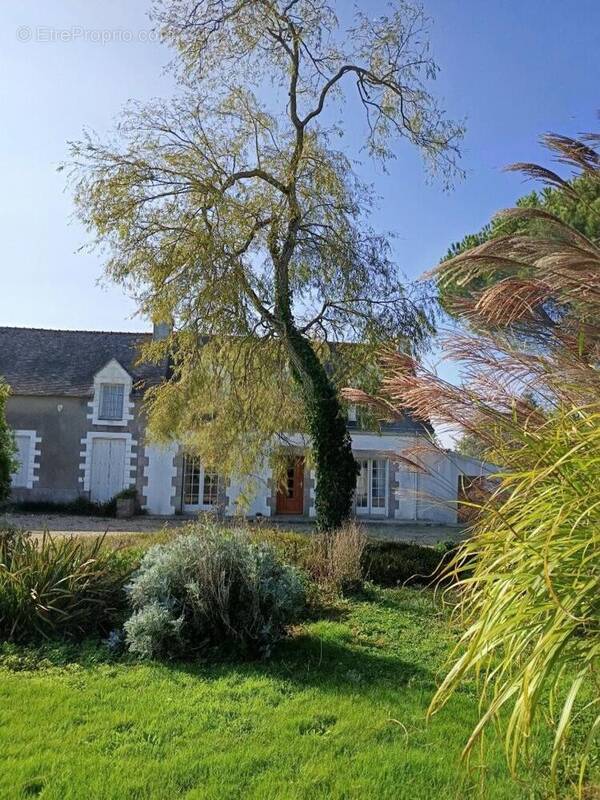 Photo 1 - Maison à REGUINY
