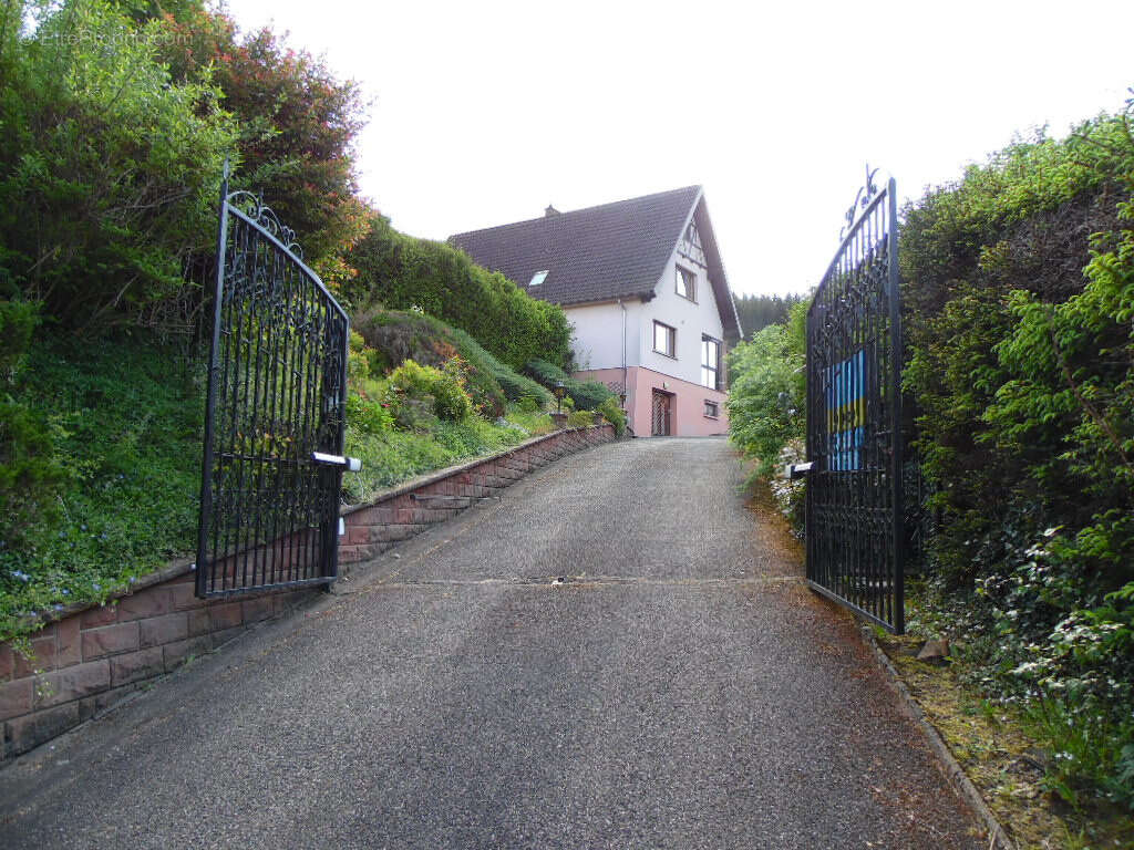 Saint blaise la roche (67420) maison d'architecte de 248m2 - photo 2