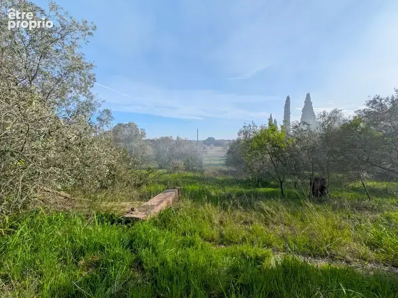 Terrain de 3 730 m² avec potentiel de construction – Réseaux à proximité – Cesseras - photo 6