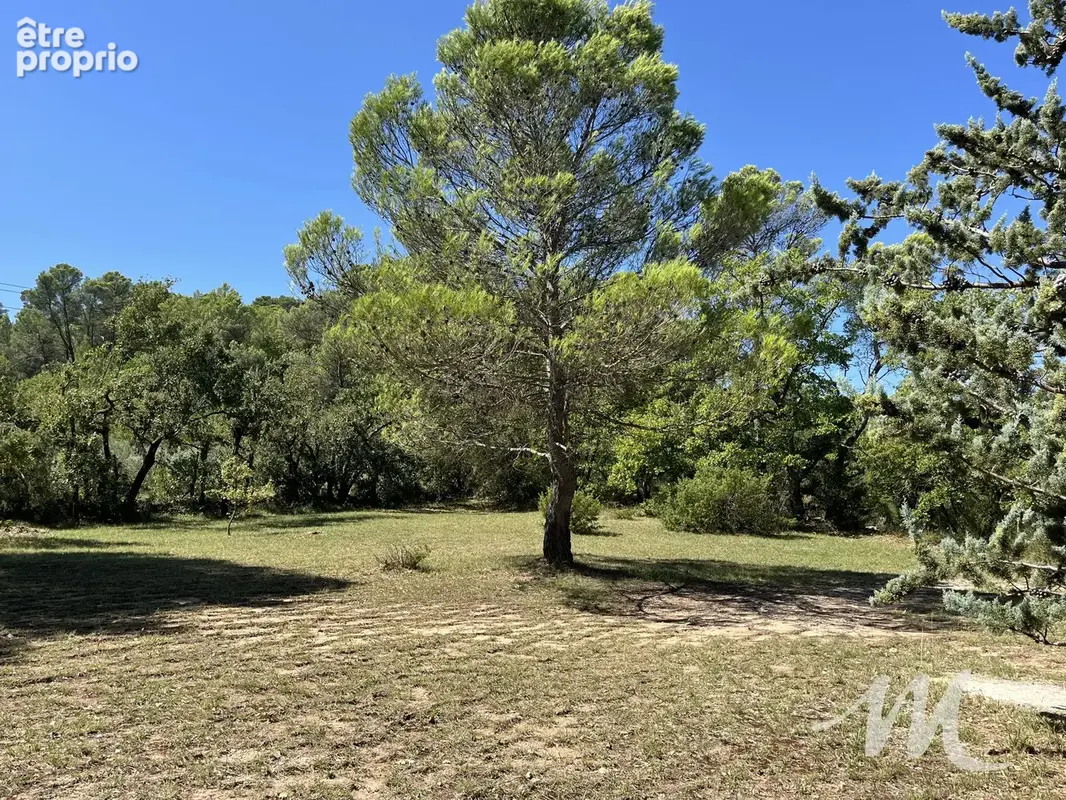 Maisonette au calme avec un parc de 3000 m² en zone agricole - photo 5