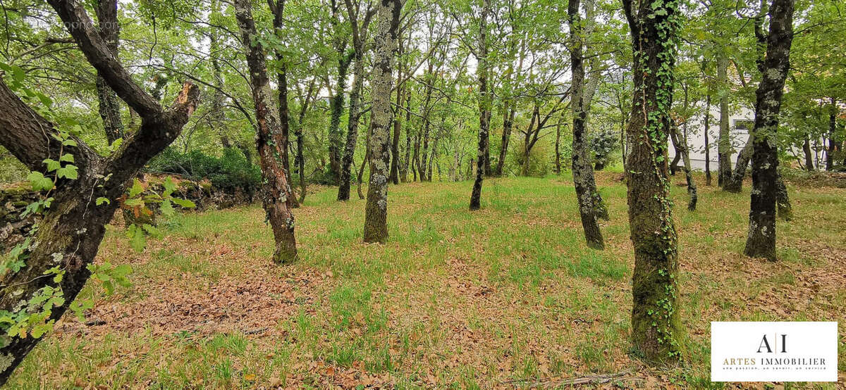 Terrain à COUX