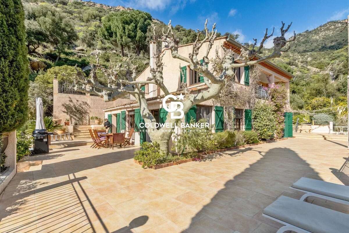 Maison à LE LAVANDOU