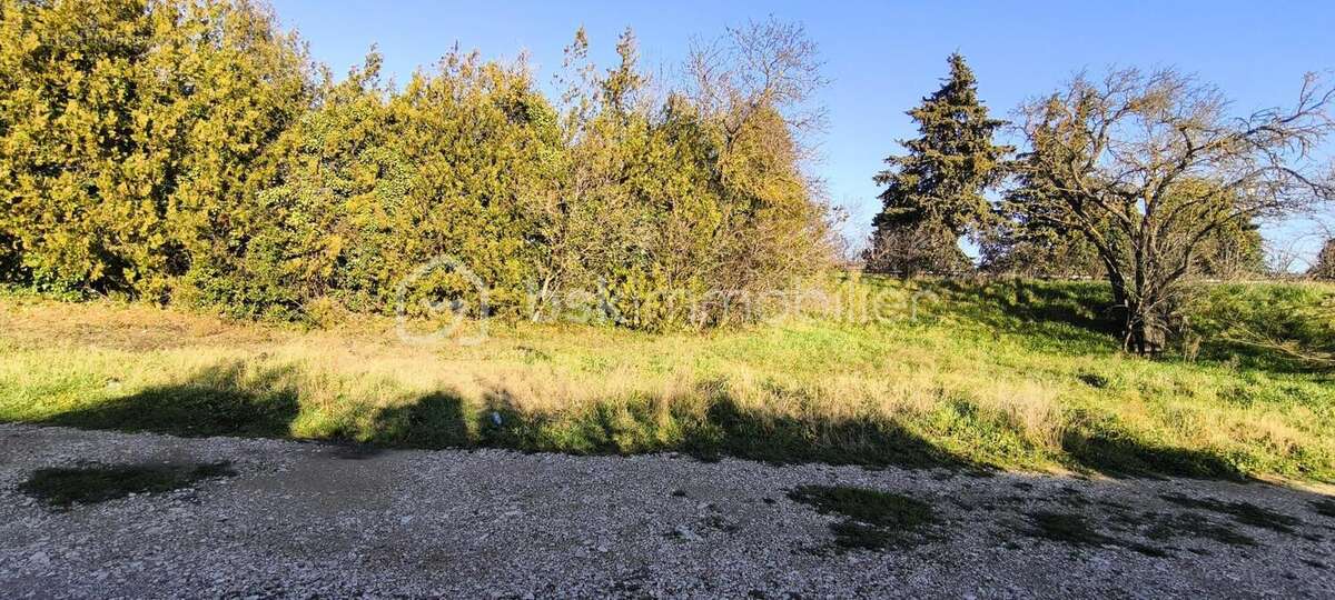 A vendre terrain constructible de 350 m2 sur Cazan , hors lotissement - photo 3