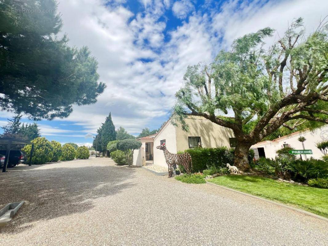 Maison à MONTPELLIER