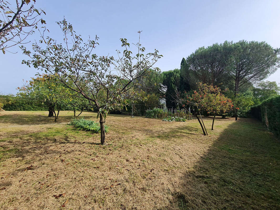 Terrain  de  1495m² cloture et arbore - photo 6