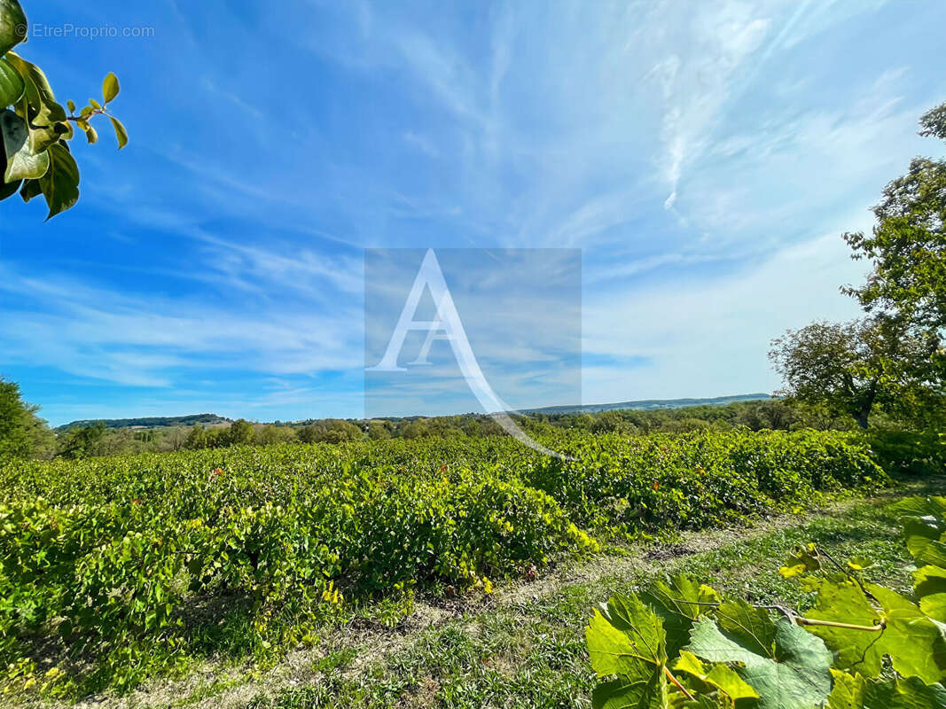 Authentique propriété en pierre avec piscine, dépendances et vignoble - photo 14