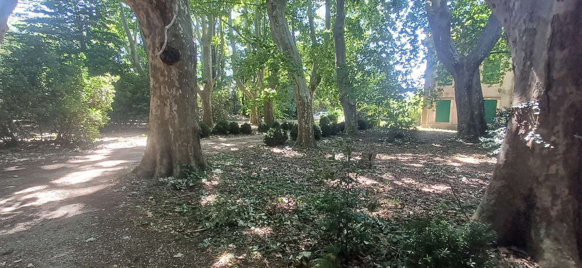 Maison à PIERRELATTE