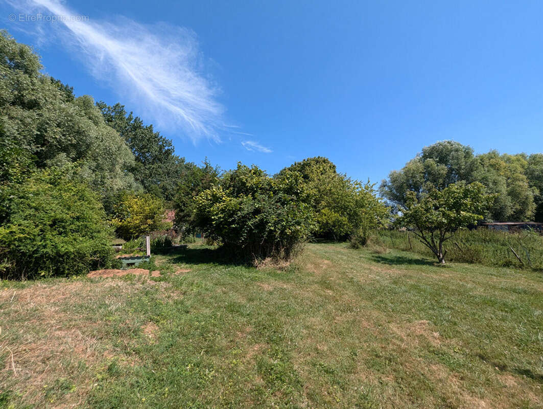 Longère en pierre à vendre au Mont-Dol  5 chambres  Dépendances  Terrain arboré de 7 000 m² - photo 17