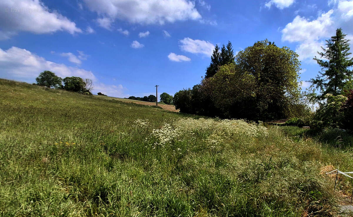 Terrain à TORCY-LE-PETIT