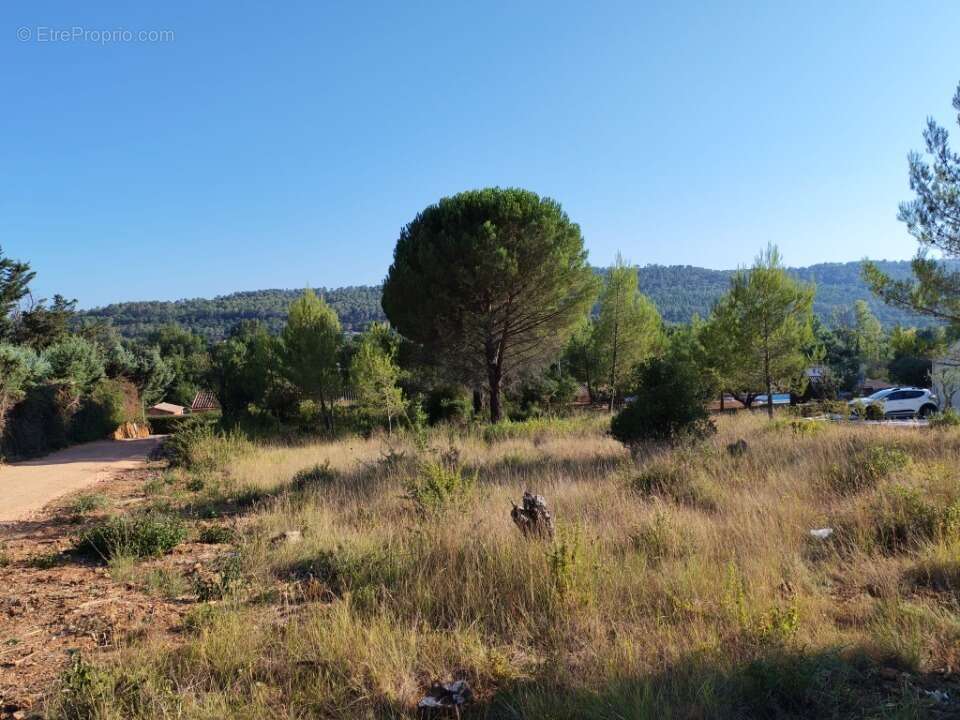 Terrain 900 m² à Camps-La-Source  - photo 8