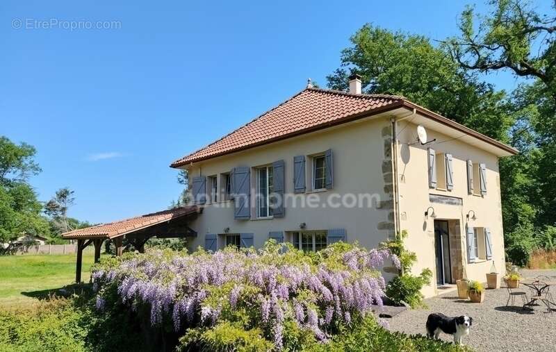 Maison à AIRE-SUR-L'ADOUR