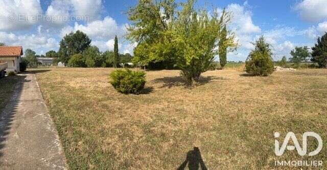 Maison 168 m² à Saint-Christoly-De-Blaye  - photo 6