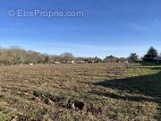 Terrain à CASTRES-GIRONDE