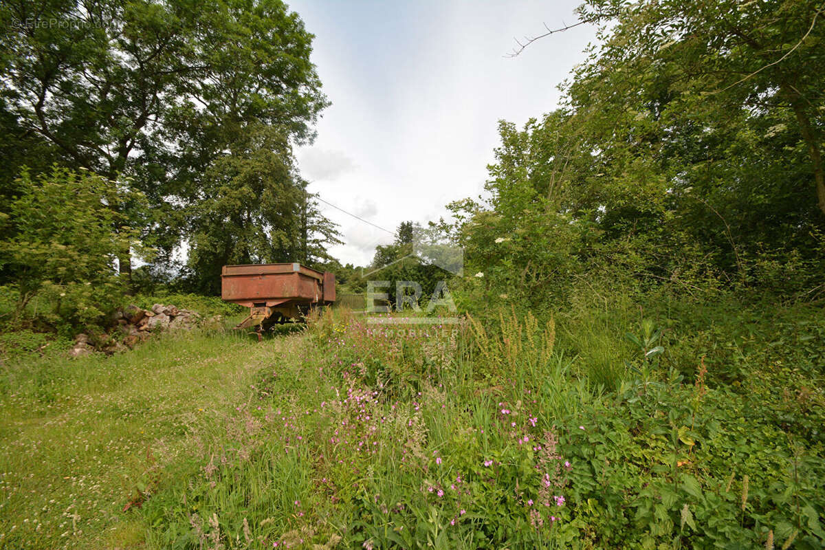 Autre à BERLAIMONT