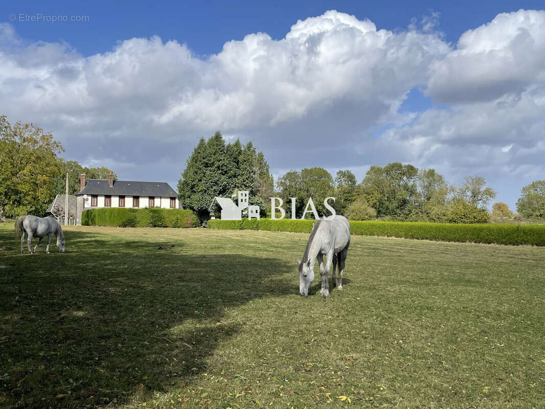 Maison à LE GROS-THEIL