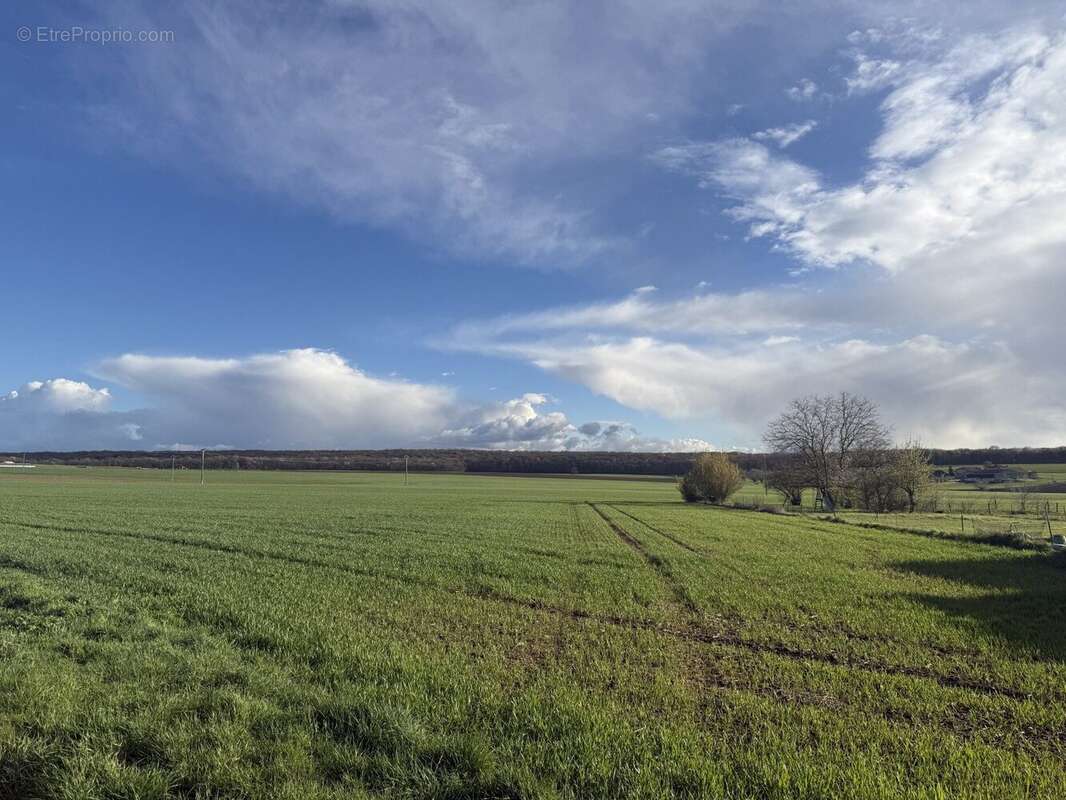 Terrain à SANRY-LES-VIGY