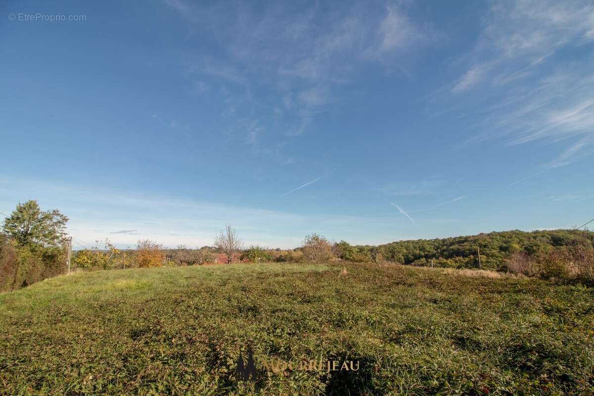 Terrain à MARCIAC