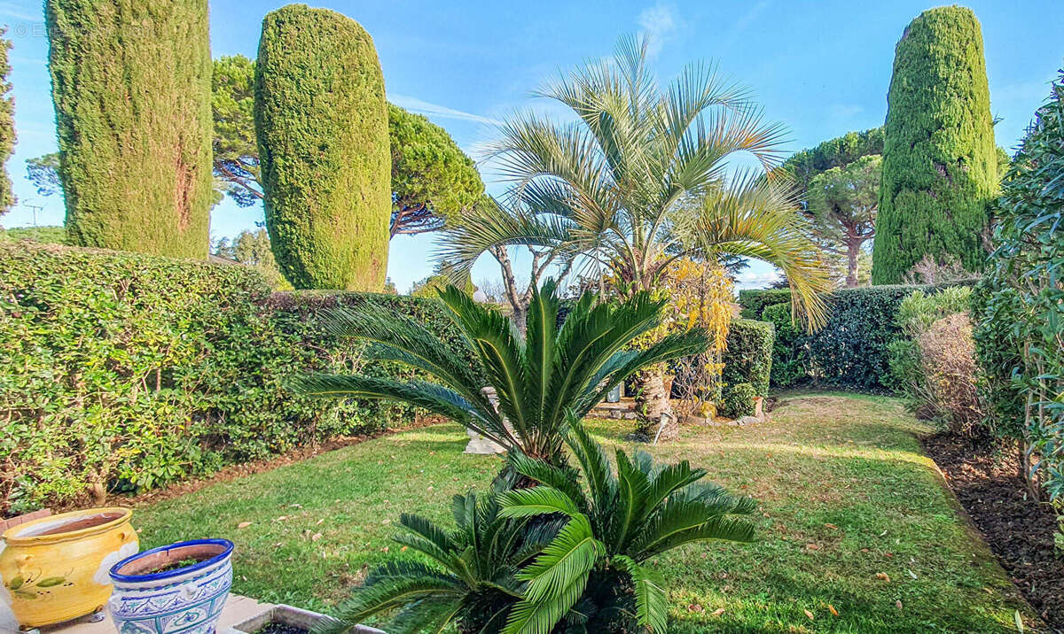 Appartement à MANDELIEU-LA-NAPOULE