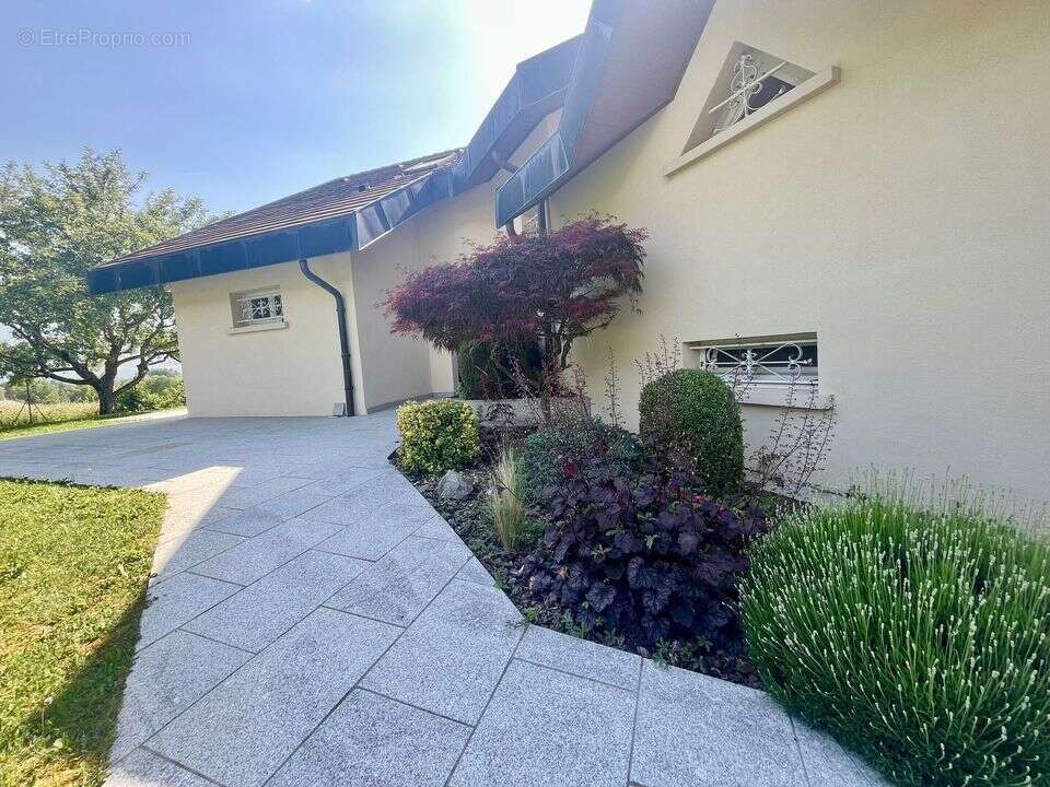 Maison à CONTAMINE-SUR-ARVE