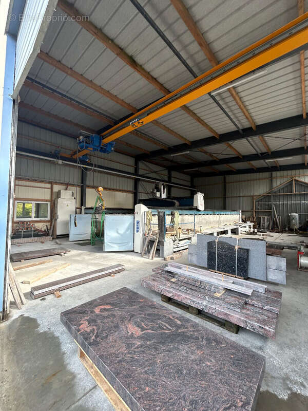 Commerce à SAINT-GERMAIN-EN-COGLES