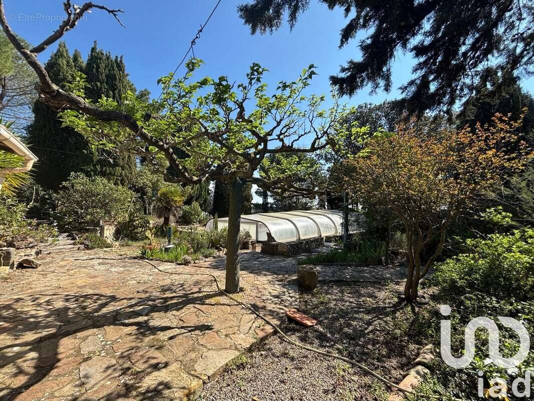 Photo 7 - Maison à ARGENS-MINERVOIS