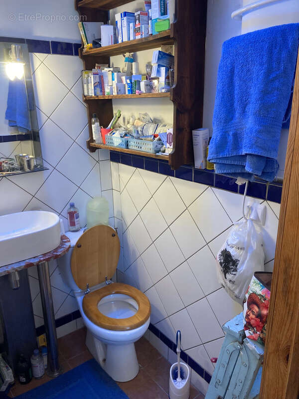 Maisons  de charme en pierre de pays 6 chambres , gite de rapport indépendant et jardin - photo 31