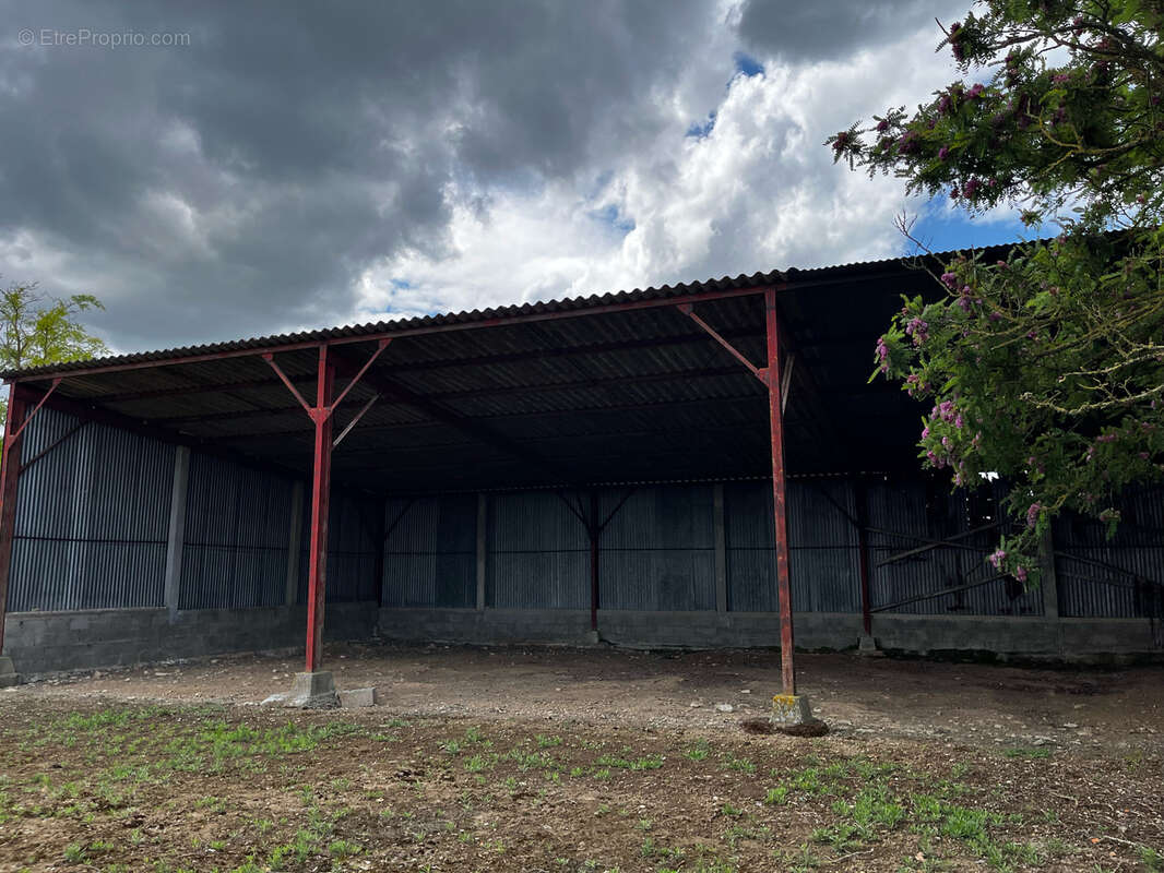 Corps de ferme rénové avec nombreuses dépendances, possibilité de 5 hectares - photo 14