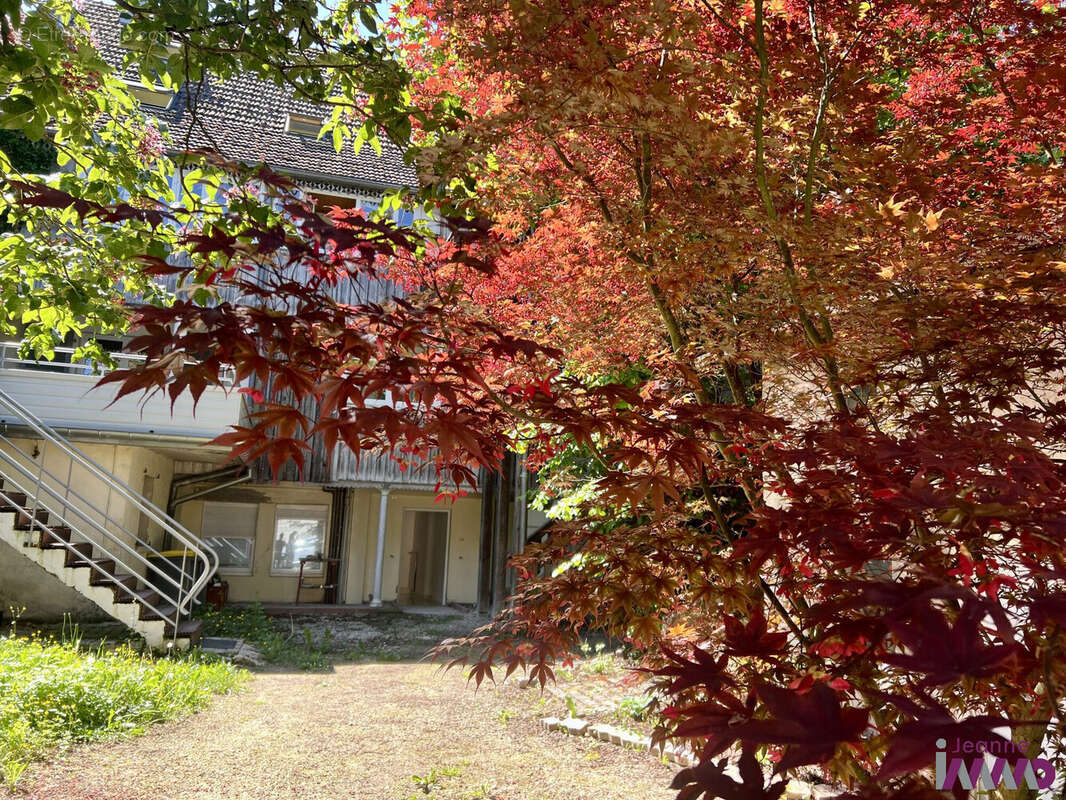 Appartement à DELLE
