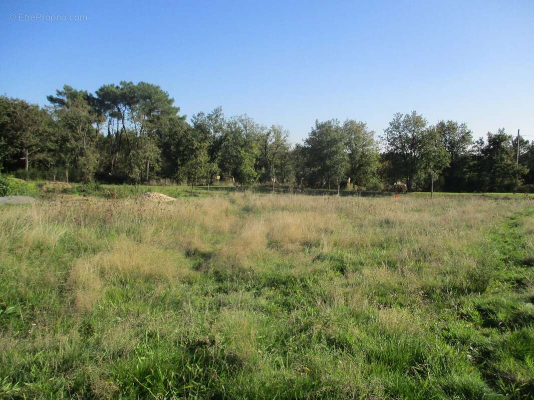 Terrain à BREM-SUR-MER