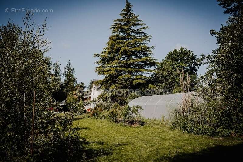 Maison à SAINT-MEEN-LE-GRAND