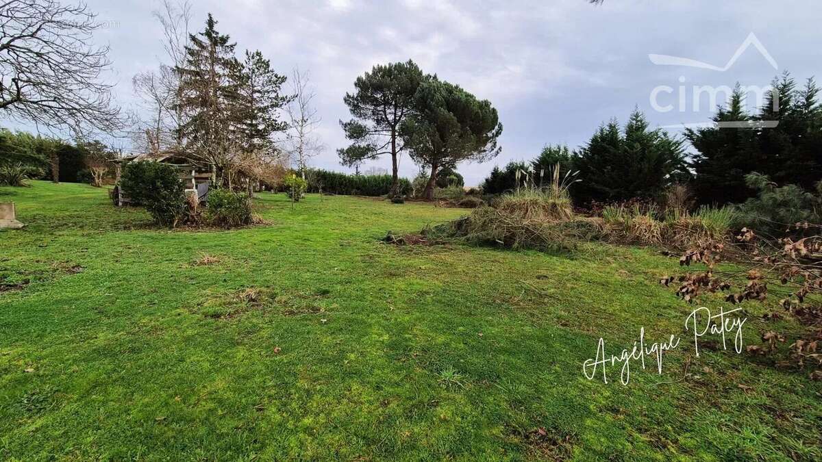 Terrain à CARTELEGUE