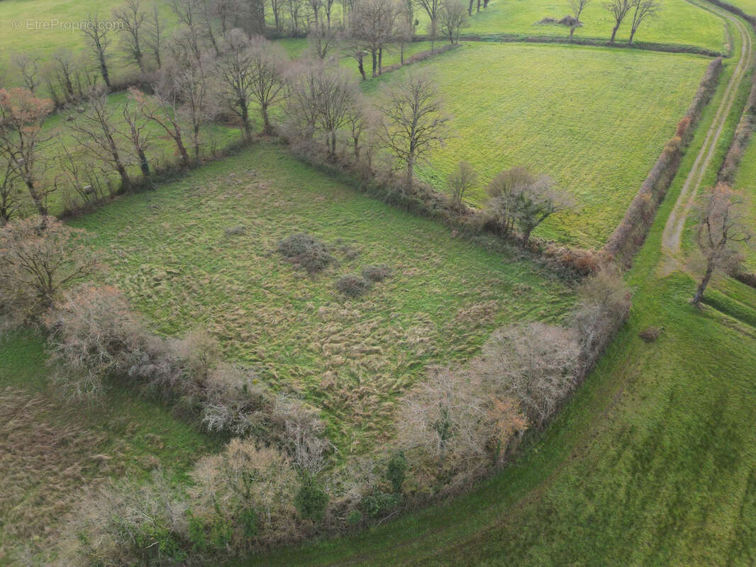 Terrain à LYS-SAINT-GEORGES