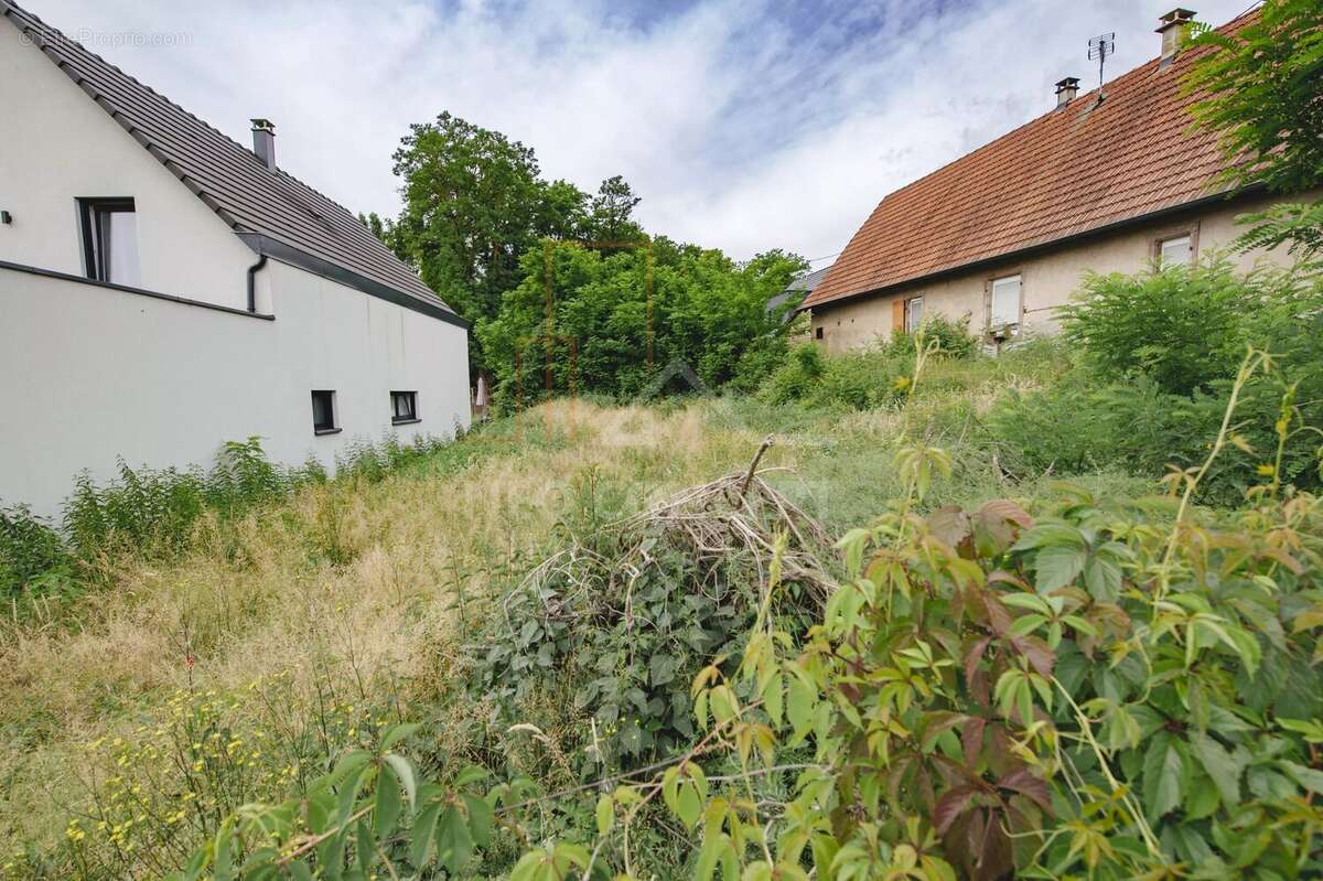 Terrain à OBERHOFFEN-SUR-MODER